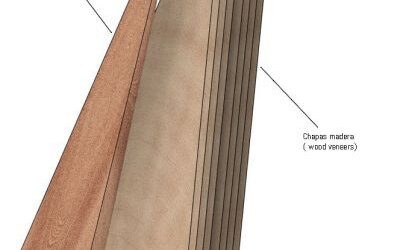 6. Cuerpo prensado. Student body harp